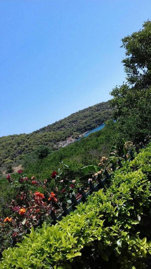 Hotel Marialena Epidaurus Dış mekan fotoğraf