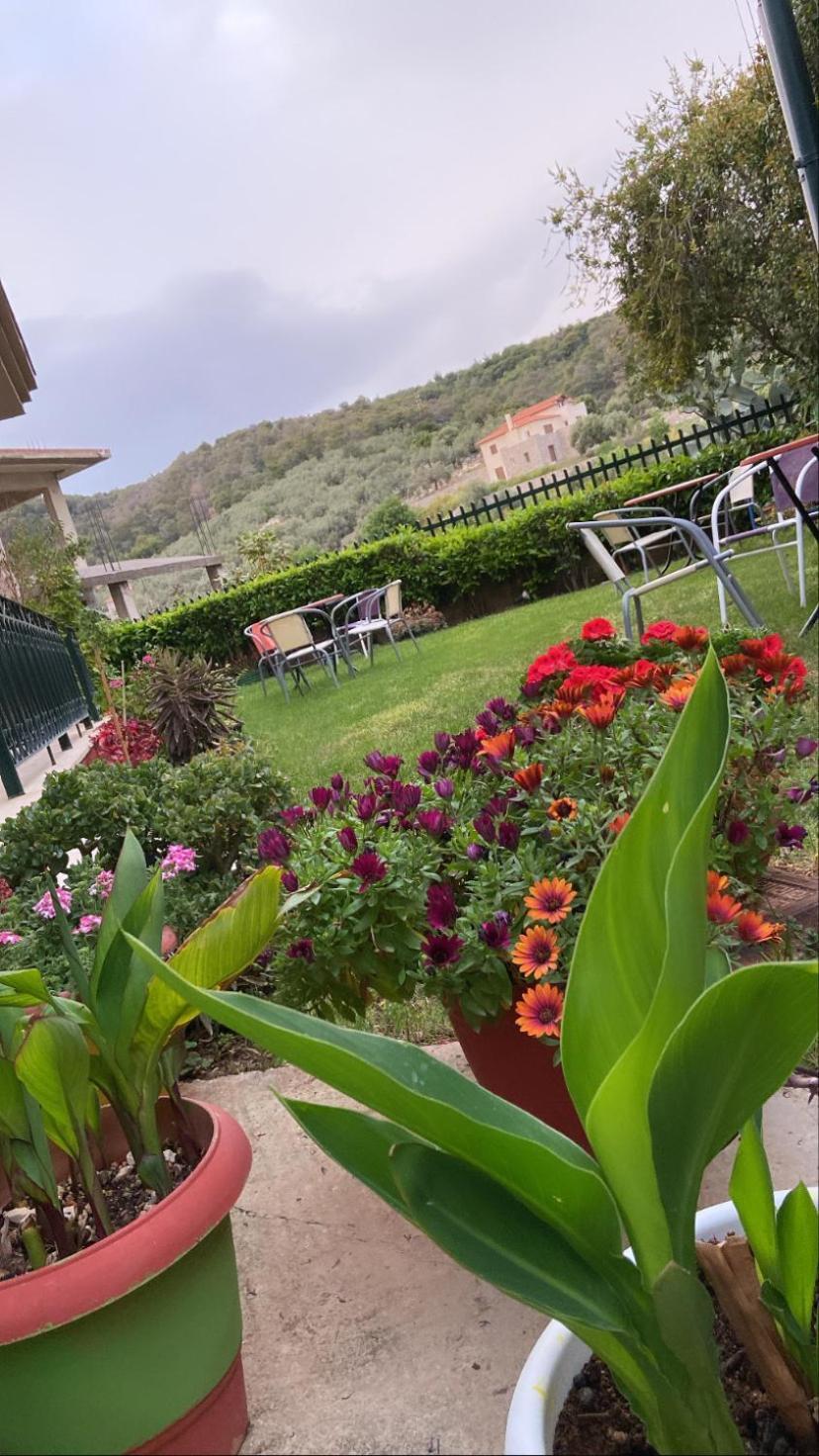 Hotel Marialena Epidaurus Dış mekan fotoğraf
